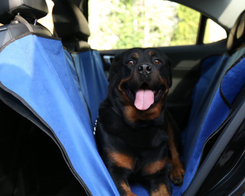 روکش صندلی خودرو مخصوص حمل حیوانات