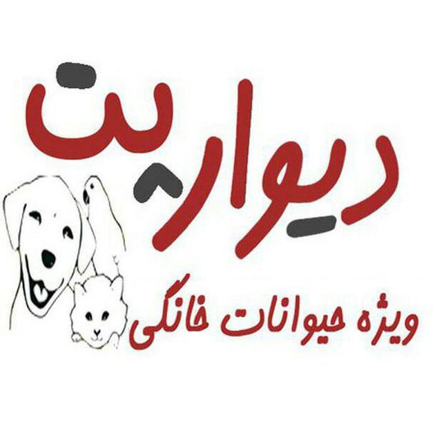 مشاوره در خرید و فروش سگ و گربه در ایران