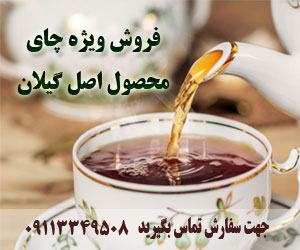 فروش چای اصل گیلان