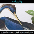فروش ویزه کاغذ دیواری