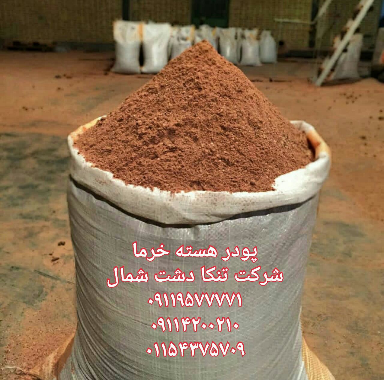 فروش پودر هسته خرما خوراک دام و طیور و آبزیان