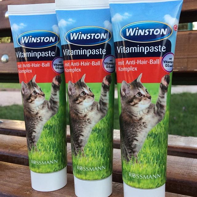 مالت گربه وینستون حاوی مولتی ویتامین (۱۰۰ گرم)