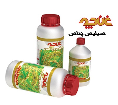 کود مایع سیلیس پتاس غنچه