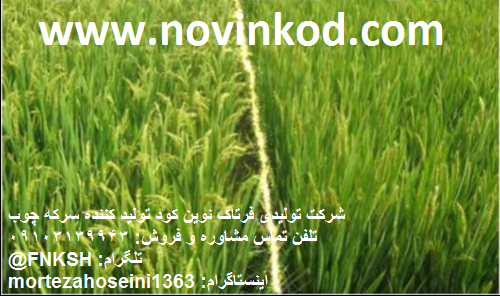 سرکه چوب