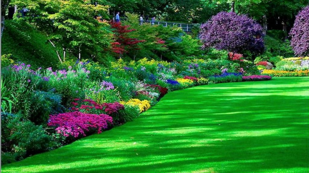 آلاچیق و فضای سبز