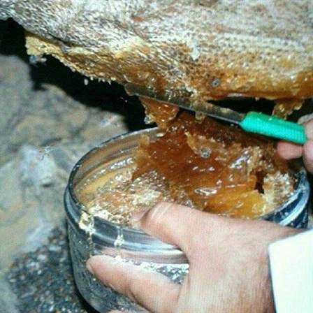عسل کوهی لرستان