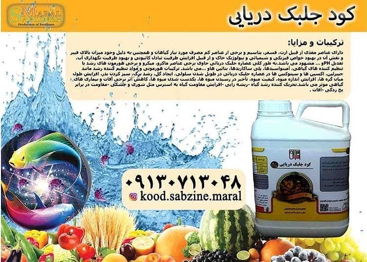 کودجلبک دریایی