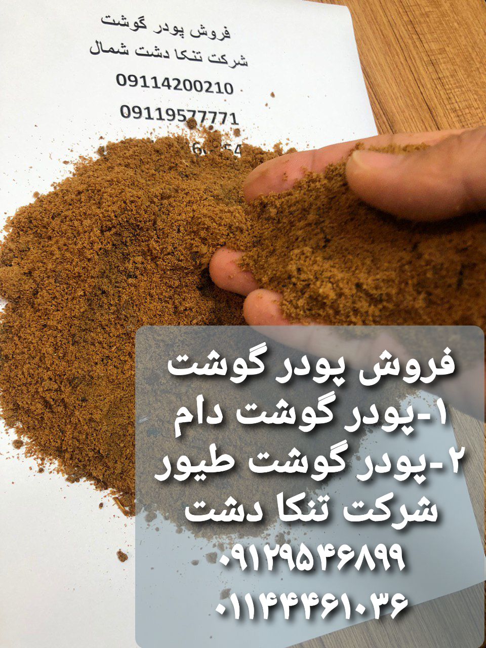 پودر گوشت تنکا دشت مال