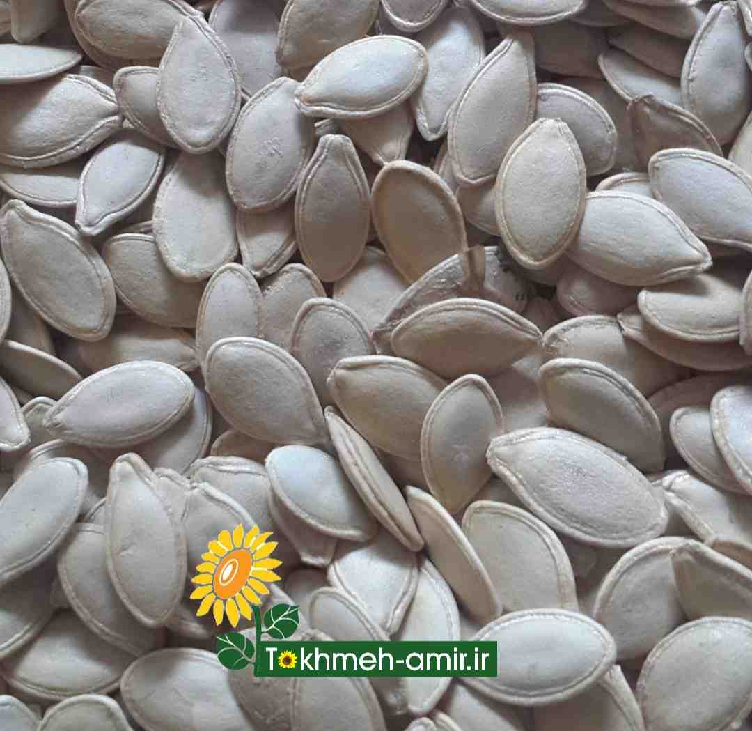 فروش عمده انواع تخمه،تخمه امیر