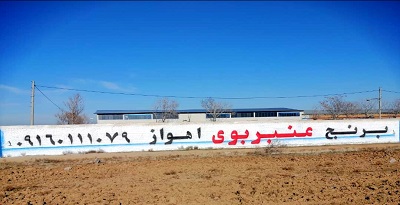 برنج عنبر بوی مزرعه نادری