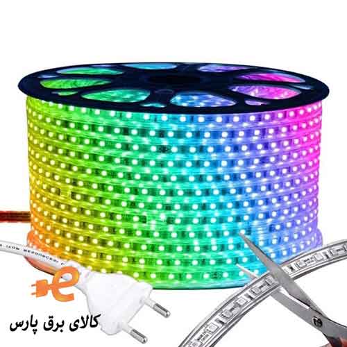 فروش ریشه شلنگی ارزان