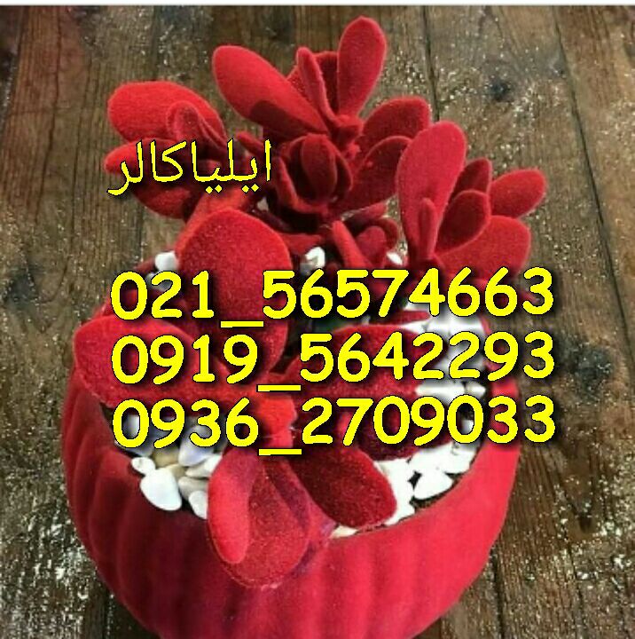 دستگاه مخمل پاش۰۹۱۹۵۶۴۲۲۹۳فروش دستگاه مخمل پاش*تولید دستگاه مخمل پاش*خرید مخمل پاش*مخمل پا