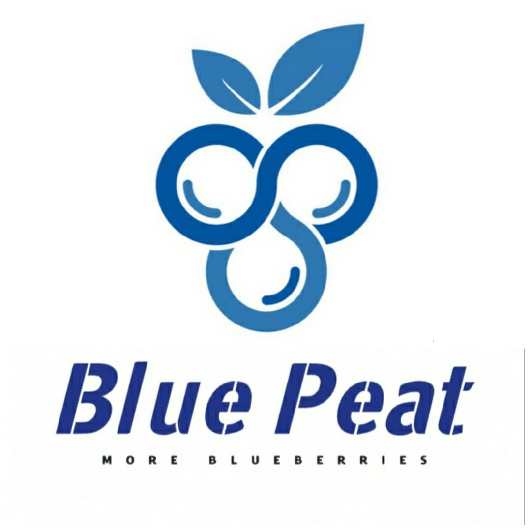 بسترکشت بلوبری بلوپیتBluePeat