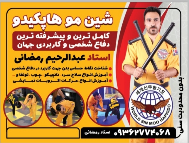 شین مو هاپکیدو دفاع شخصی