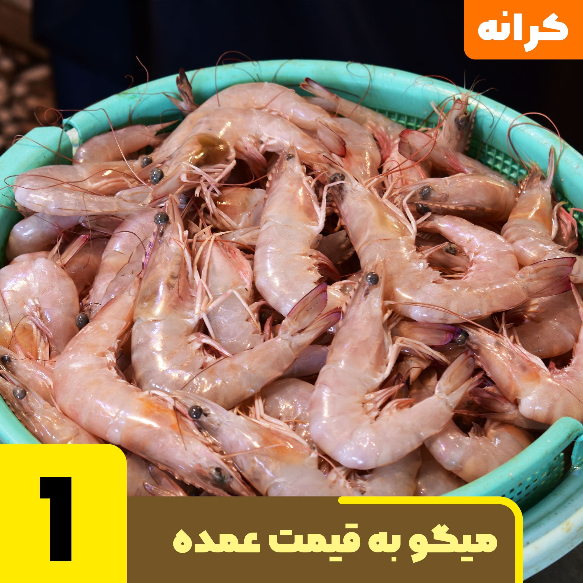 فروش انواع سایز میگو