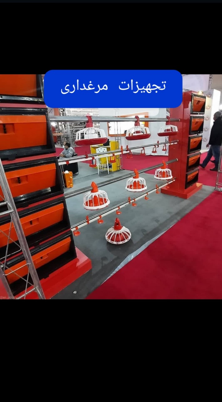 دانخوری بشقابی