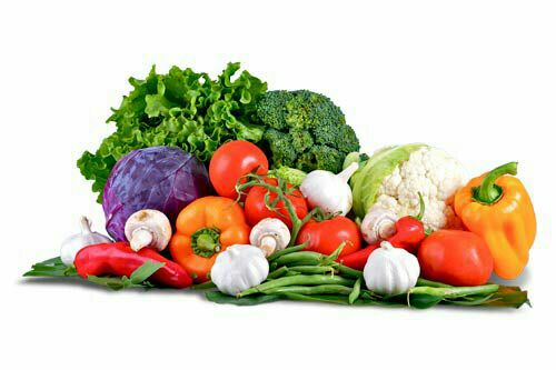راه اندازی فست فود رستوران غذاهای ایرانی و فرنگی