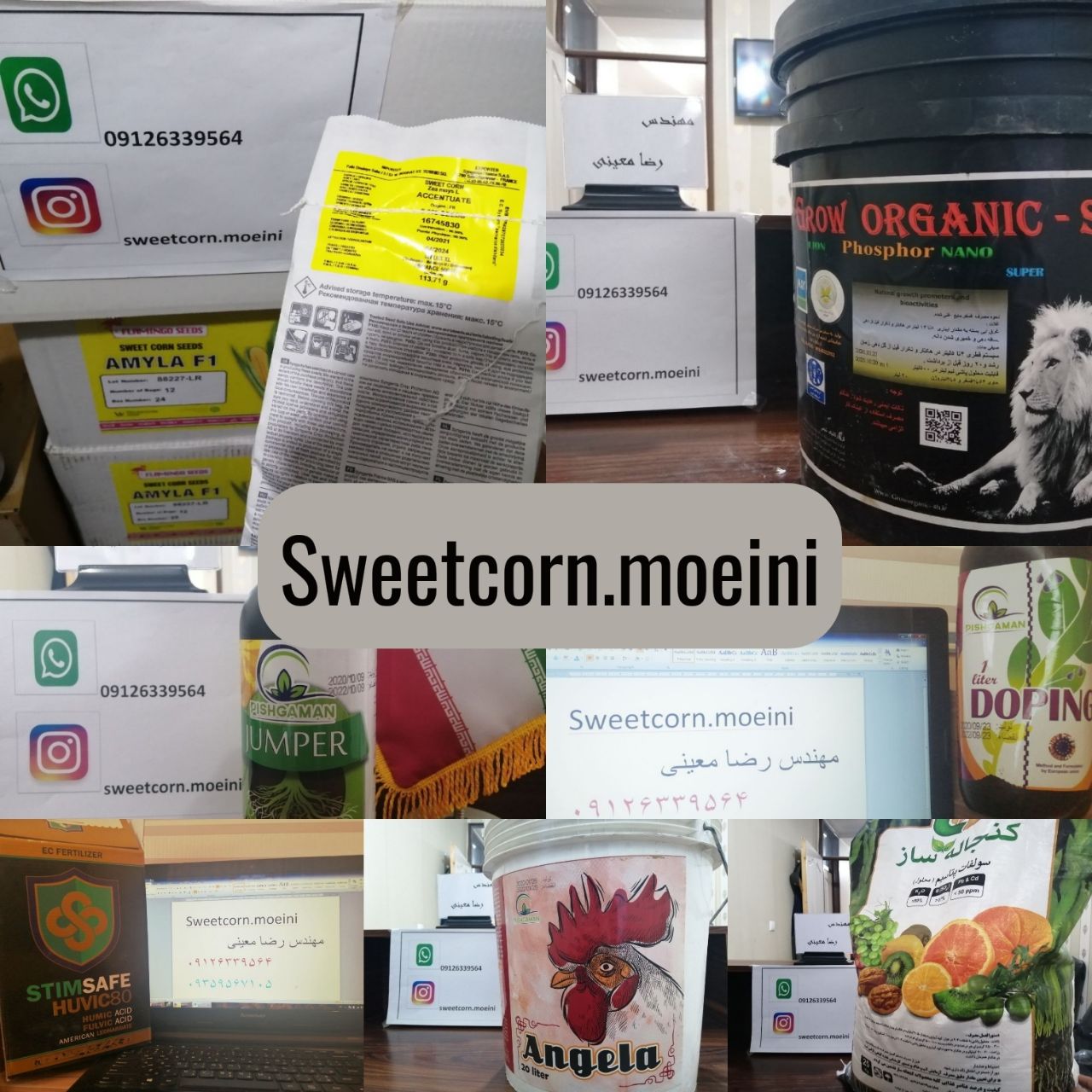 فروش انواع بذر و کود وسم