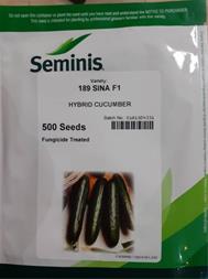 فروش بذر خیار SINA 1890 سیمینس