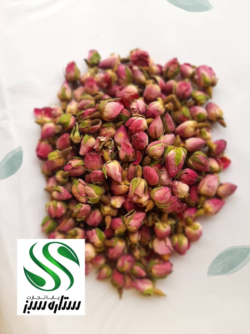 فروش ویژه غنچه گل محمدی