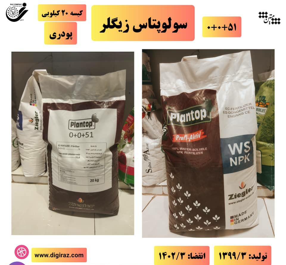 سولوپتاس زیگلر