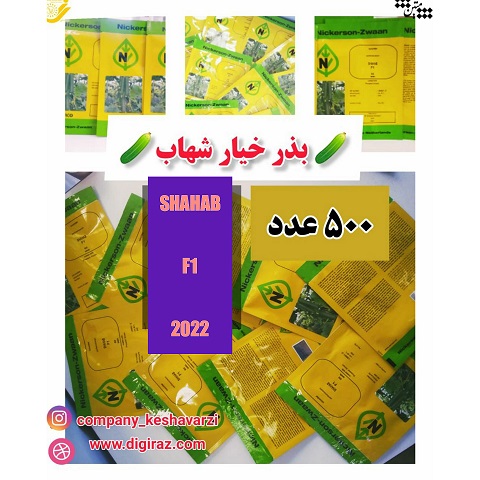 بذر خیار شهاب