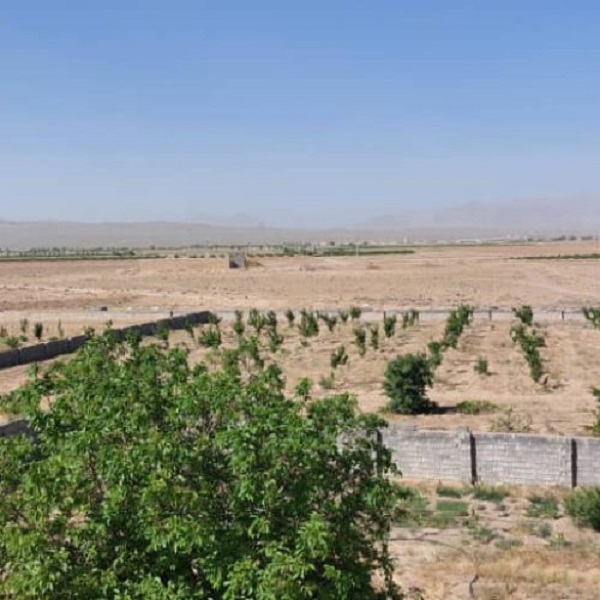 فروش مرغداری با مجوز پروانه گوشتی ۶۰ هزار تایی،با کلیه تجهیزات گرمایشی و سرمایشی و پرورش