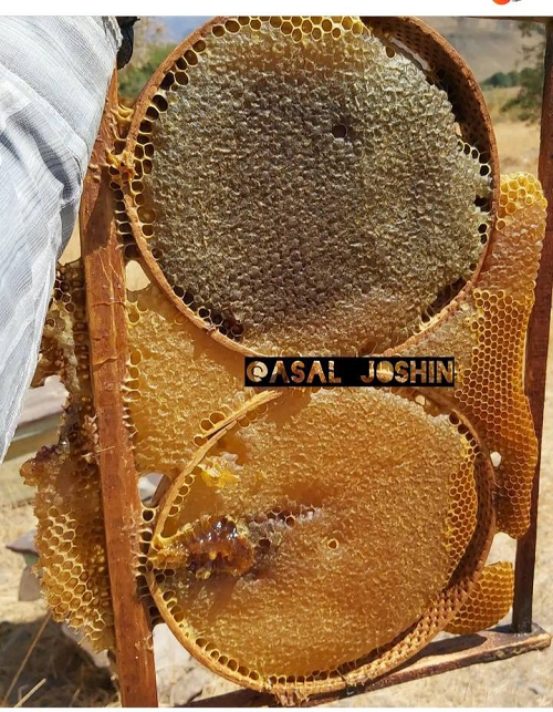عسل طبیعی سبلان
