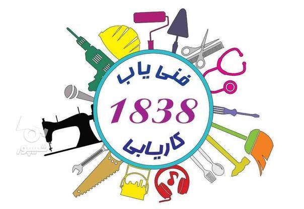 کاریابی ۱۸۳۸