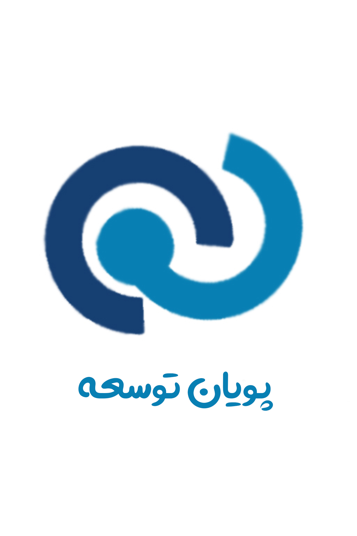 طراحی سایت و سئو