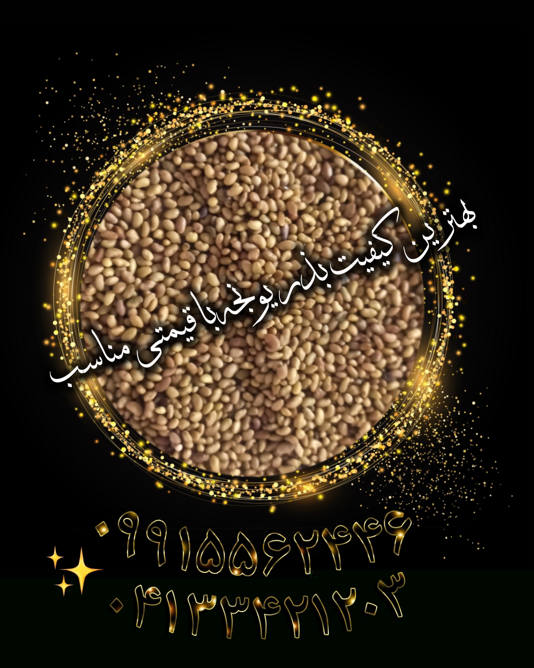فروش بذر درجه یک سورت شده