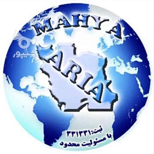 امور مرتبط با ثبت شرکت ها و رتبه بندی