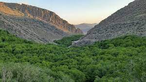 تور طبیعت گردی ماسوله فارس