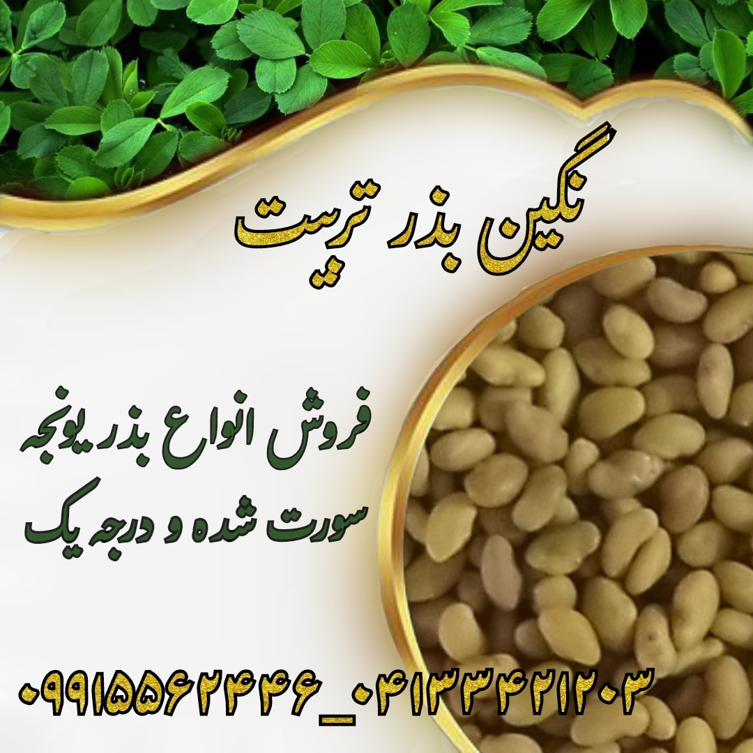 فروش بذر یونجه