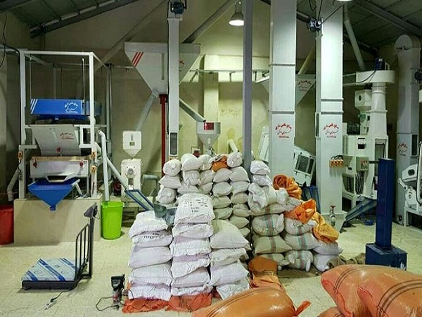 عاملیت پخش و فروش برنج های شمال – تالش – به مدیریت فریبرز قنبری