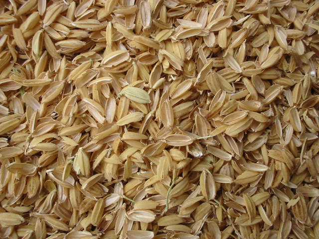 فروش سبوس برنج