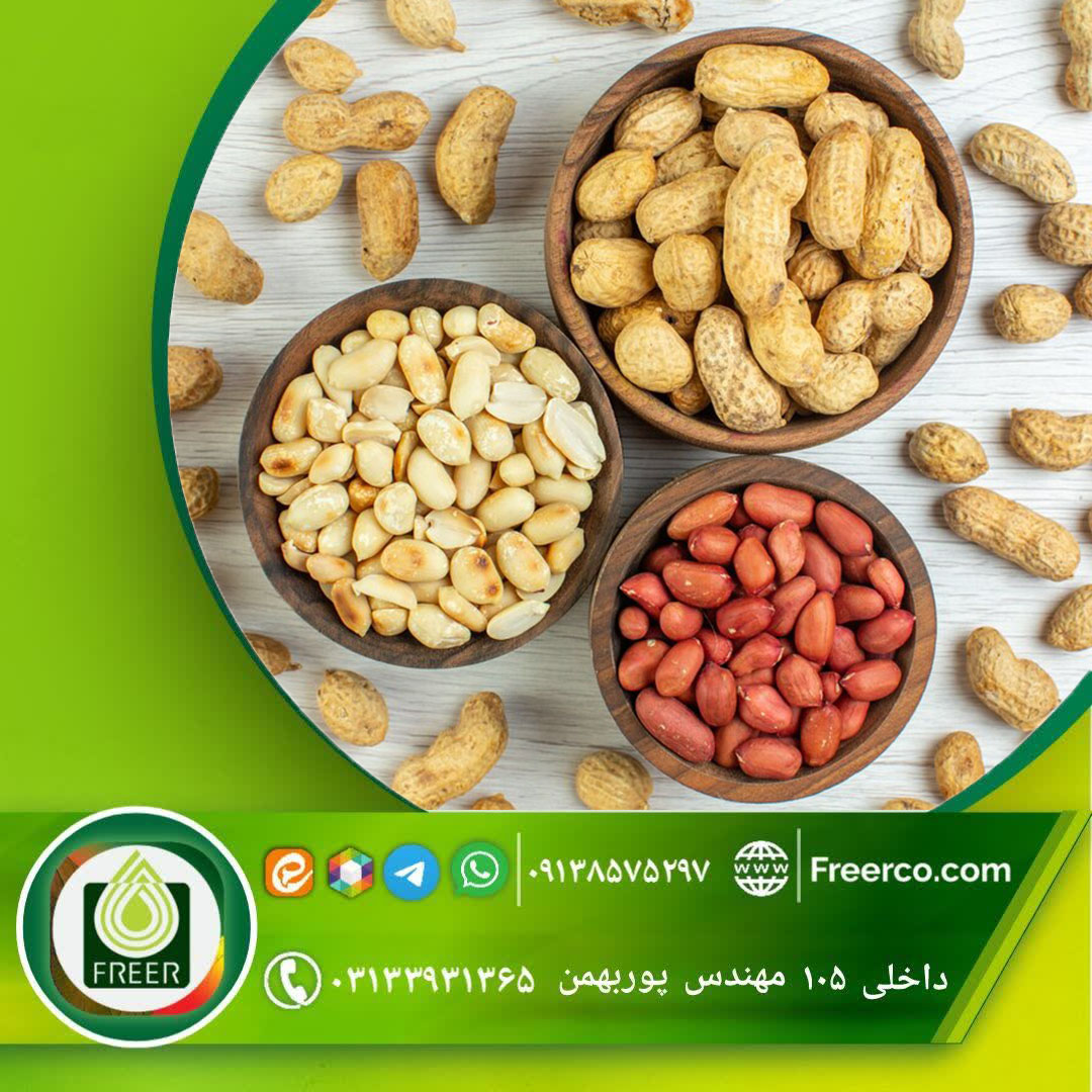 فروش عمده طعم دهنده پودری طبیعی