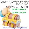 مرکز دامنه طلاگستر