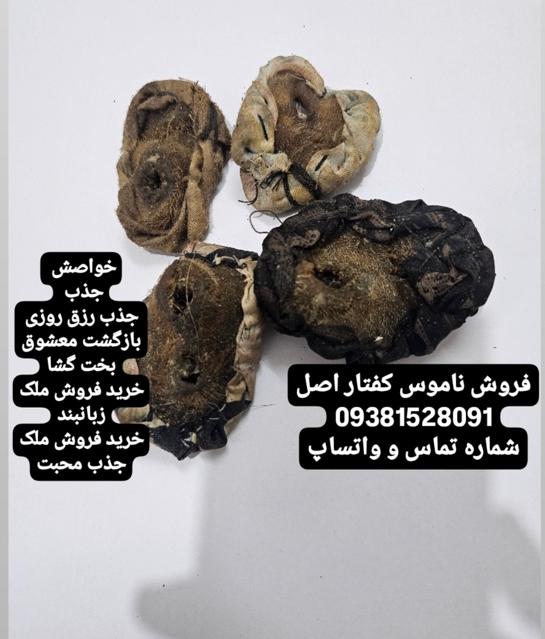 ناموس کفتار