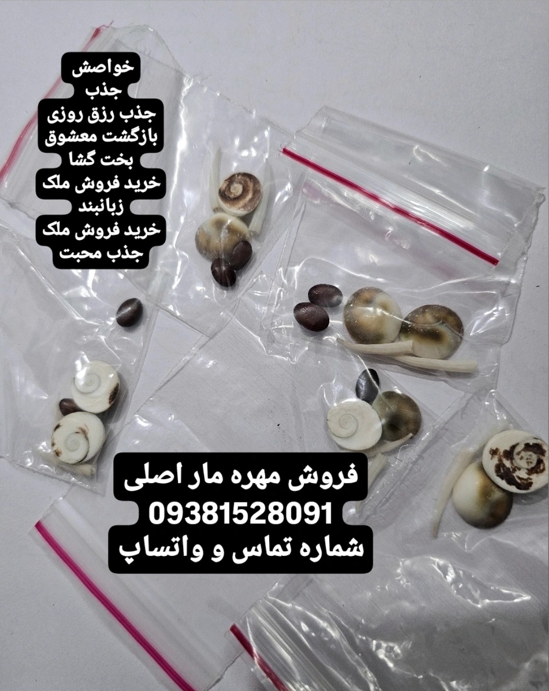 مهره مار