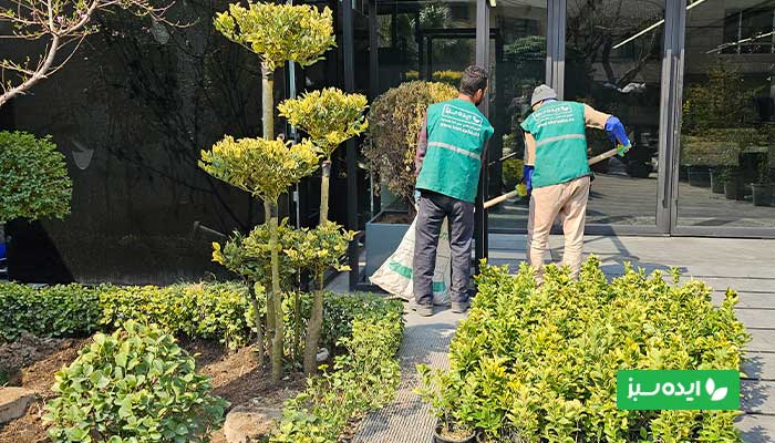 خدمات نگهداری فضای سبز و باغبانی