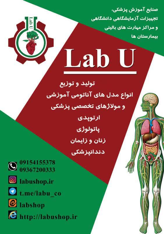 . انواع فانتوم ومدل های آناتومی مناسب  آزمایشگاه  مدارس و دانشگاه و مراکز مهارت های بالینی بیمارستان