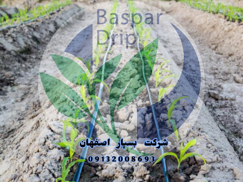 فروش ویژه نوارتیپ