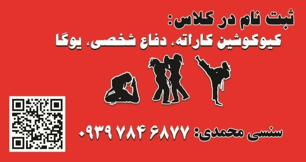 آکادمی رزمی استاد محمدی