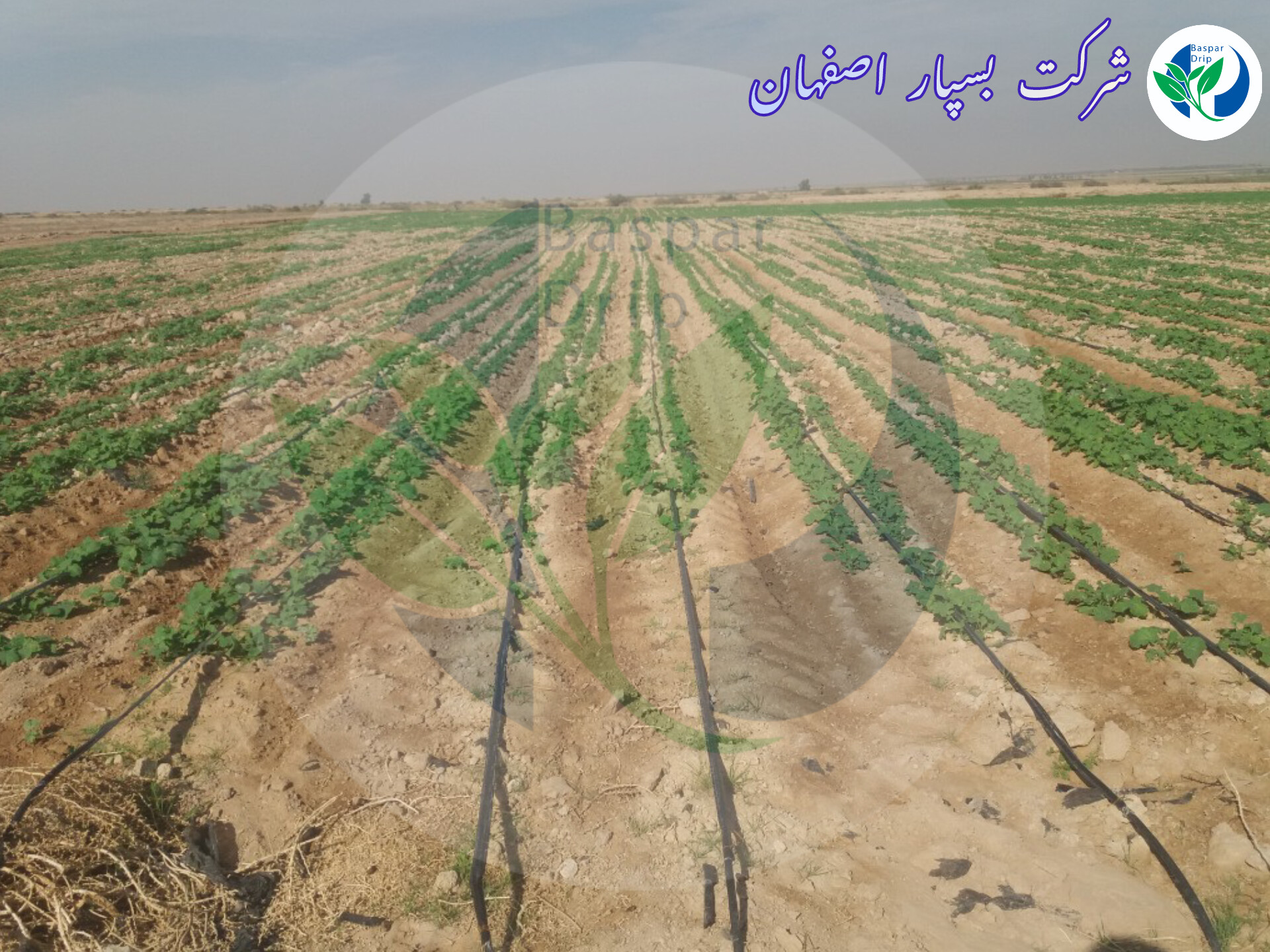 فروش نوار تیپ