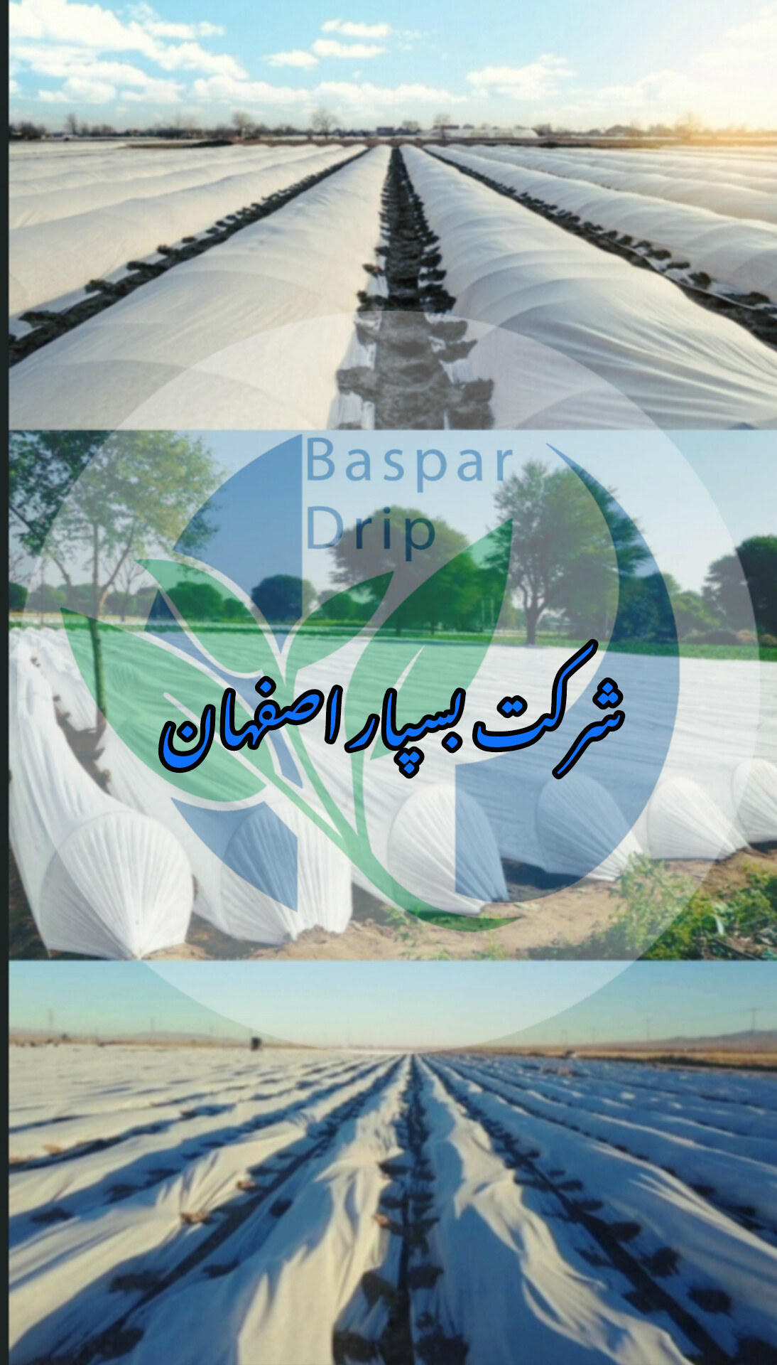کاور ضد سرما