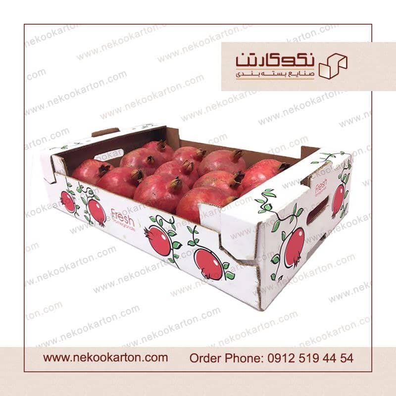 تولید کارتن صادراتی میوه و سبزیجات
