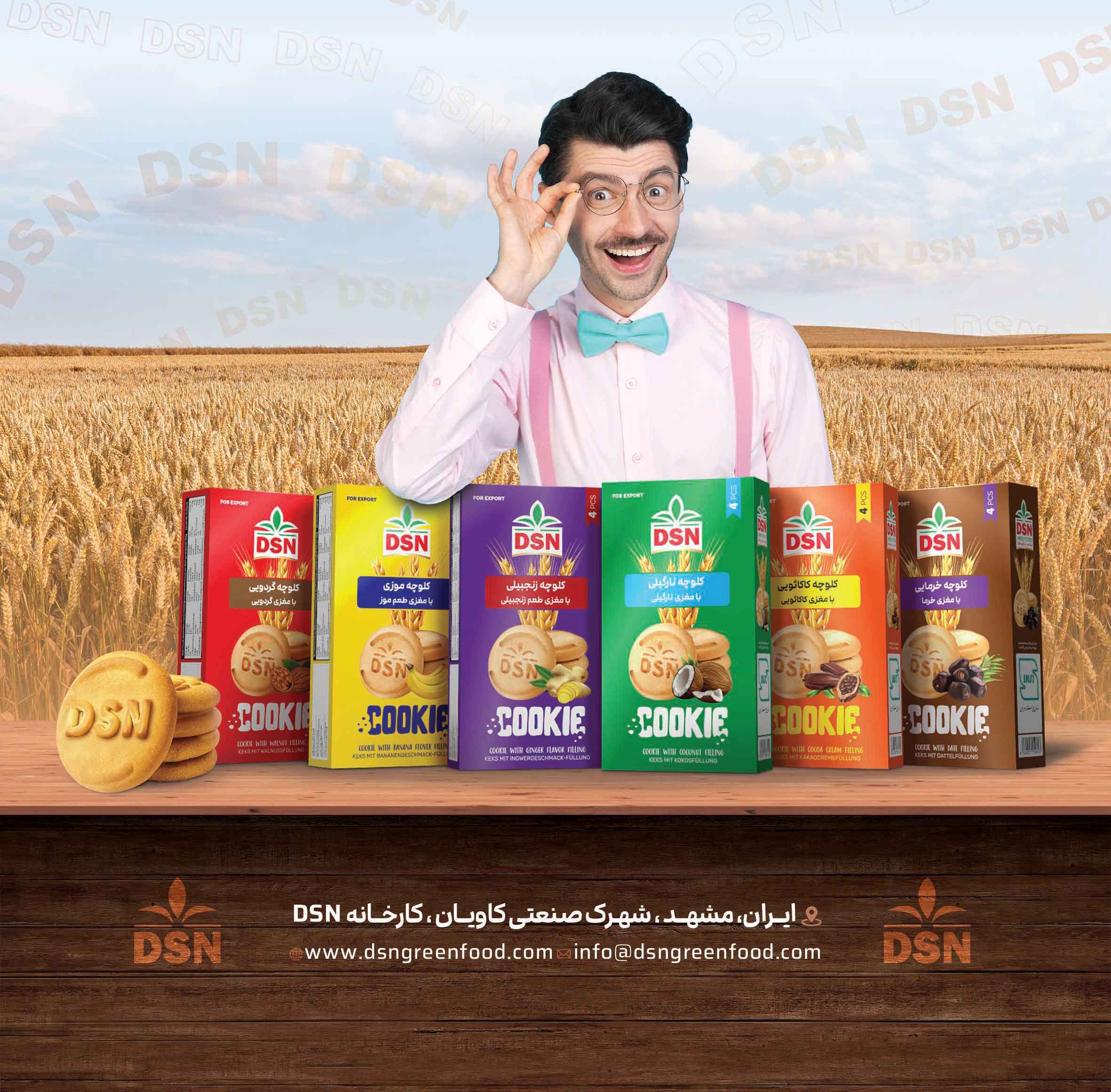 فروش ویژه کلوچه DSN در تهران