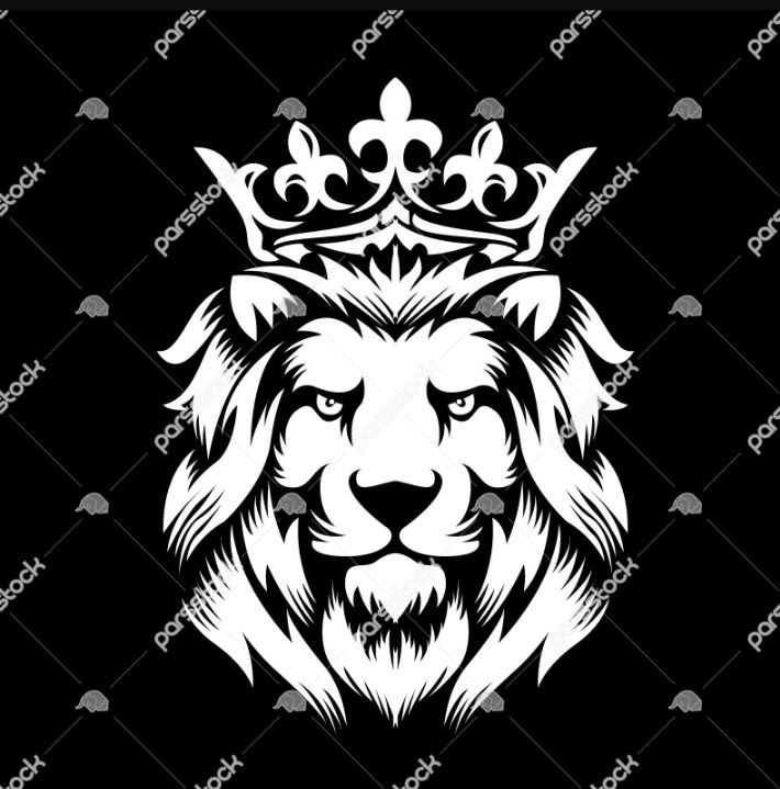 سرویس و تعمیرات تخصصی انواع پکیج و ابگرمکن ایرانی و خارجی